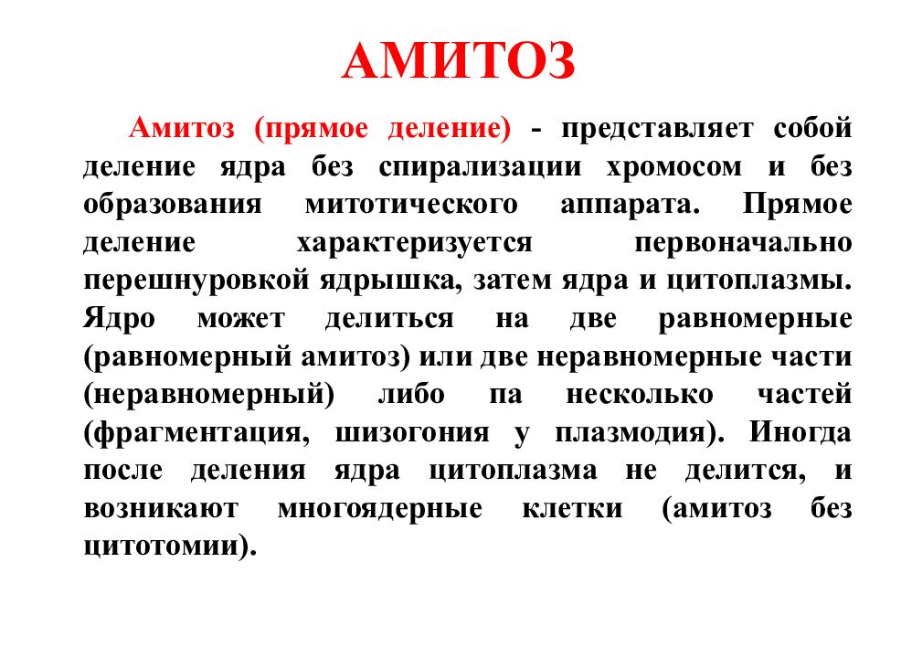 Амитозом делятся. Амитоз прямое деление. Амитоз характеристика. Амитоз прямое деление клетки. Амитоз это в биологии.