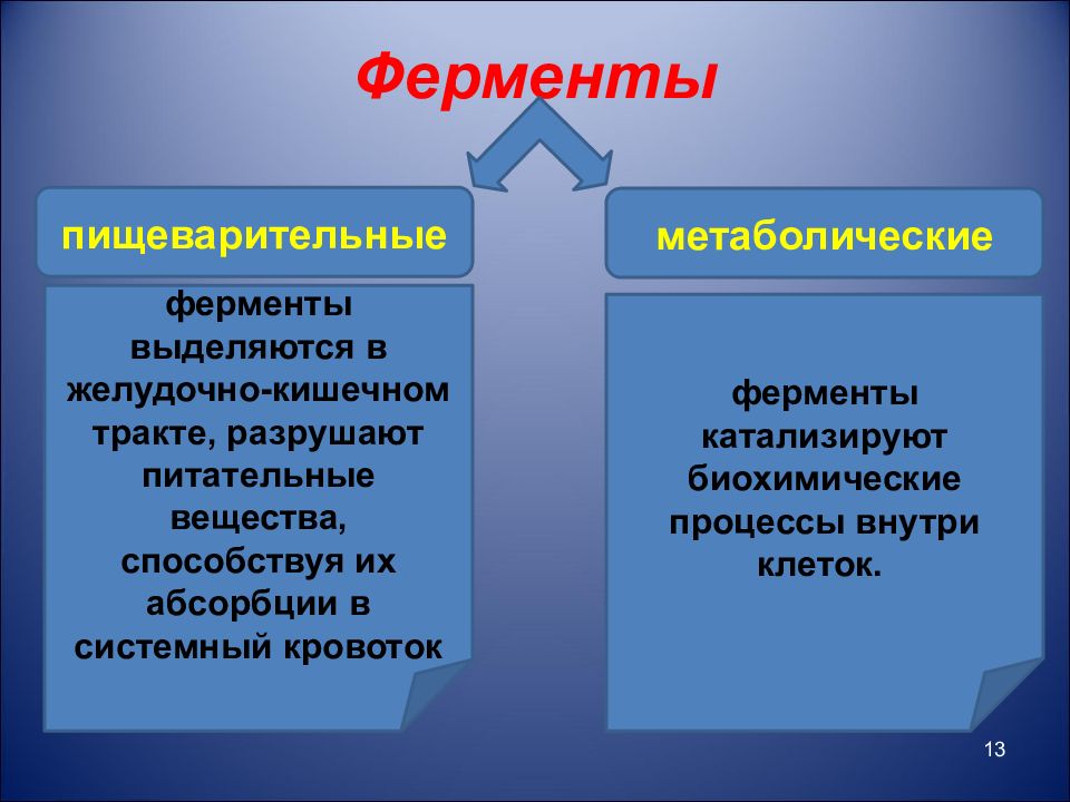 Метаболизм ферментов. Метаболитические ферменты. Пищеварительные и метаболические ферменты. Метаболические ферменты примеры. Роль ферментов в метаболизме.