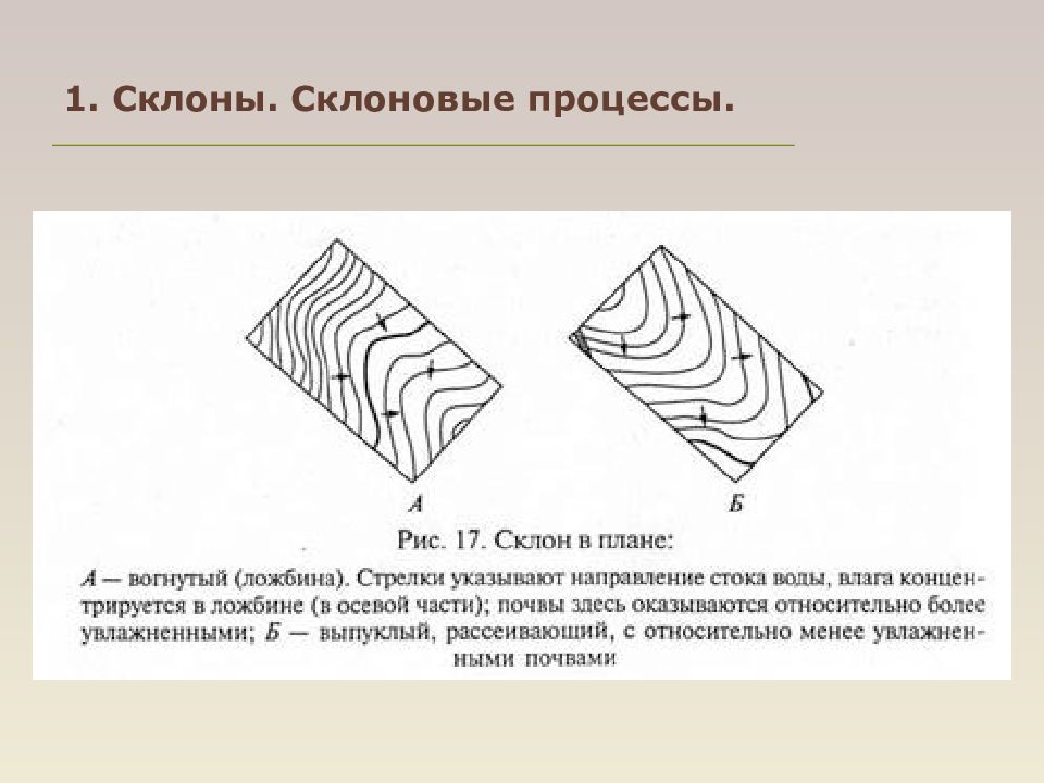 Сравните крутизну склонов и густоту горизонталей на плане сделайте предположение