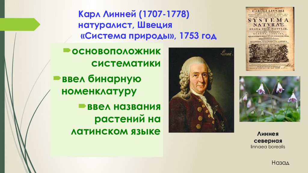 Основоположник систематики. Презентация по теме систематика растений. Систематика растений её значение. Систематика растений 6 класс. Систематика растений Пономарева 6 класс.