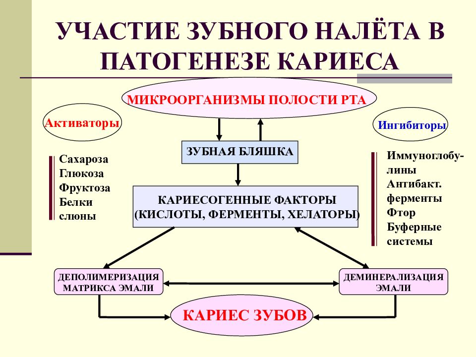 Патогенез пародонта. Развития кариеса зубов патогенез. Патогенетические механизмы развития кариеса зубов. Этиология и патогенез кариеса зубов. Патогенез кариеса схема.