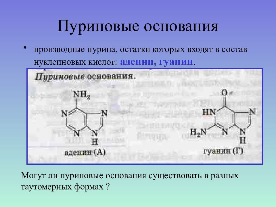 Гетероциклические соединения презентация 10 класс профильный уровень