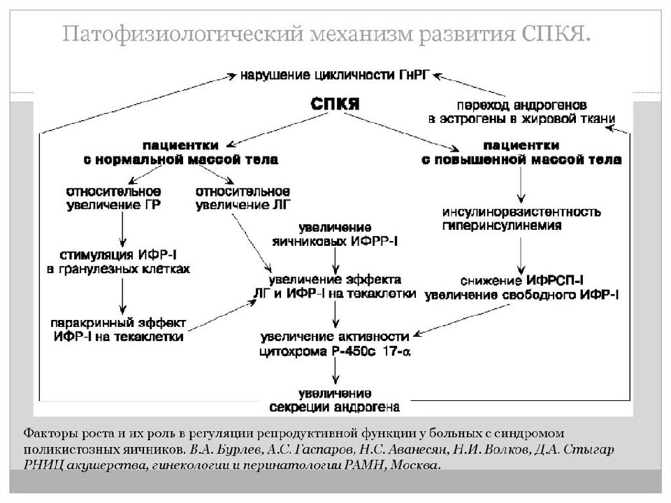 Патогенез спкя презентация