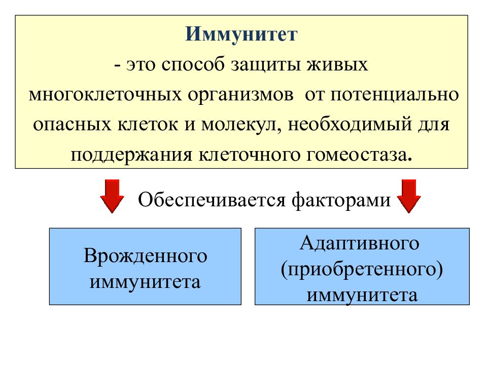 Способы приобретения иммунитета и его вид