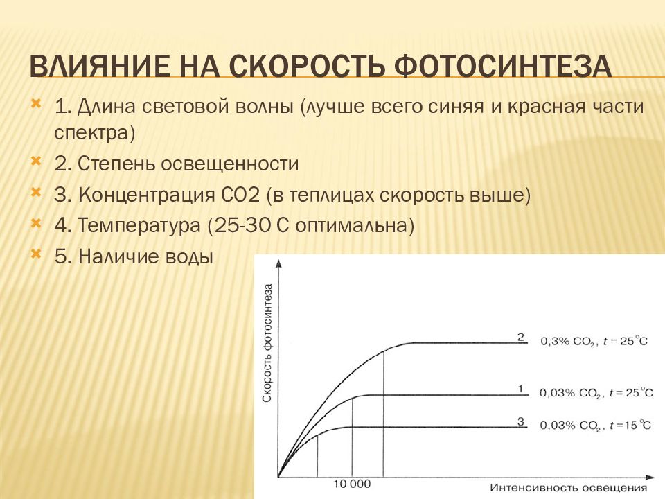 Влияние условий окружающей среды на процесс фотосинтеза презентация