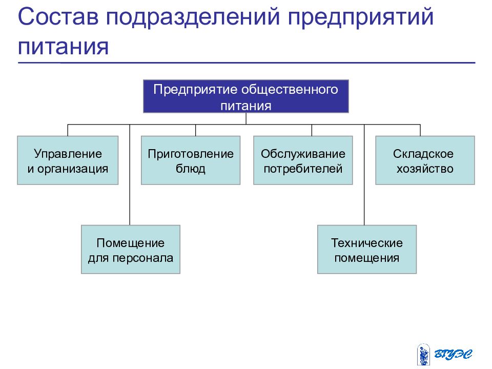 Схема структуры предприятия общественного питания