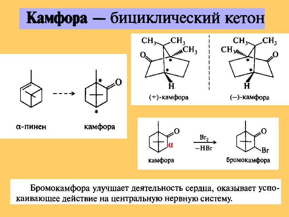 Презентация на тему терпеноиды