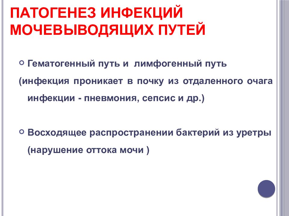 Этиология инфекций мочевыводящих путей. Лимфогенный путь распространения инфекции. Инфекция проникающая лимфогенным путем.