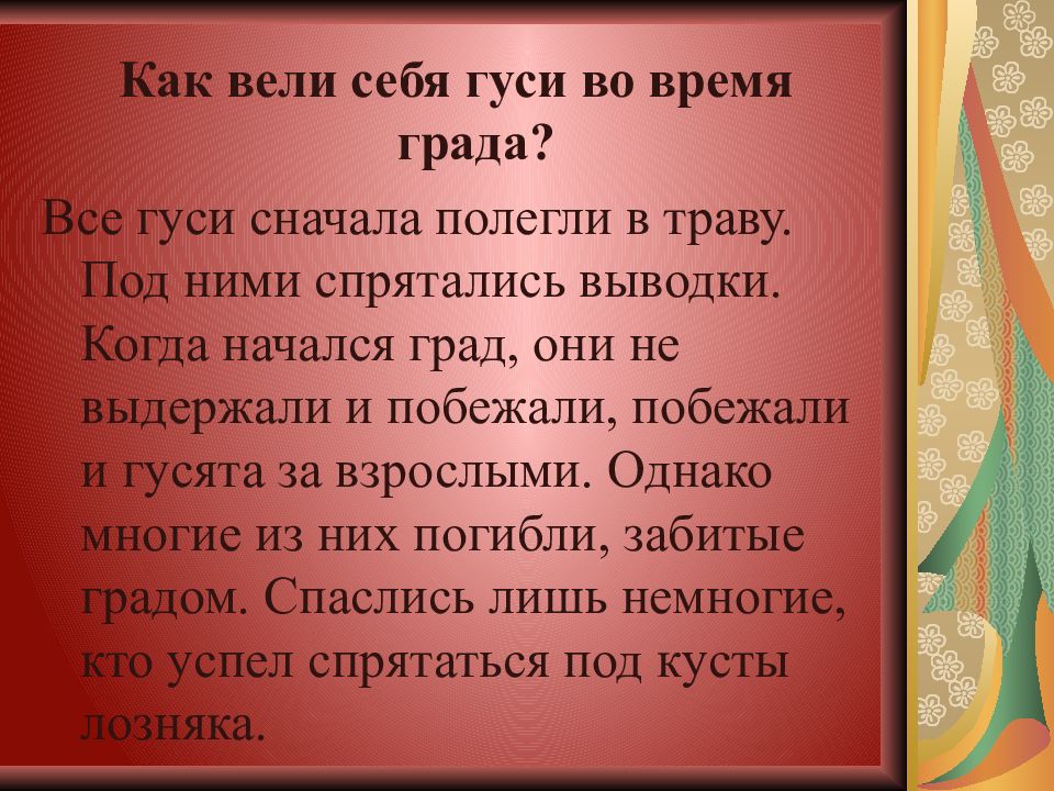 Белый гусь план пересказа