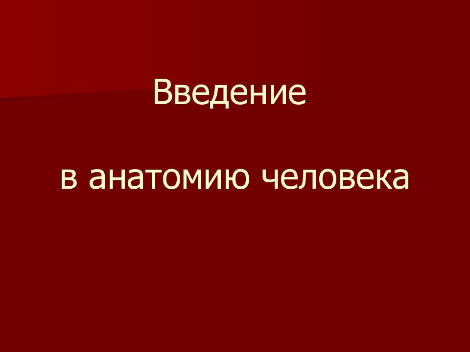 Введение в анатомию человека