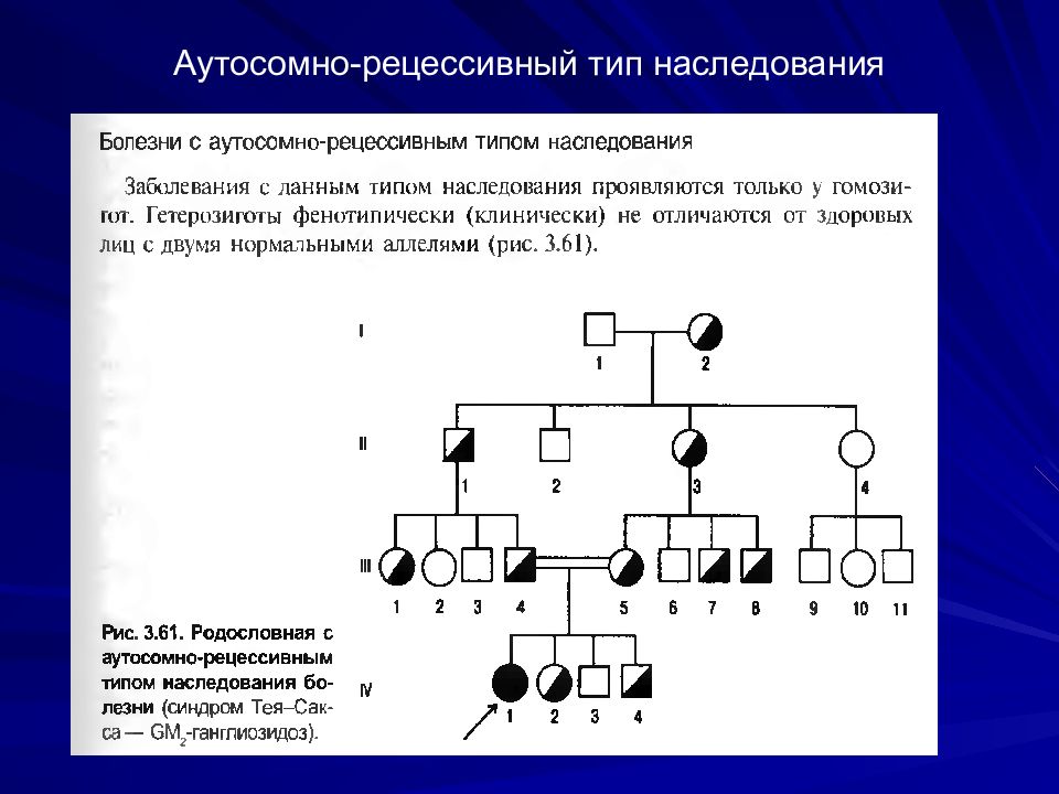 Аутосомно рецессивные заболевания презентация