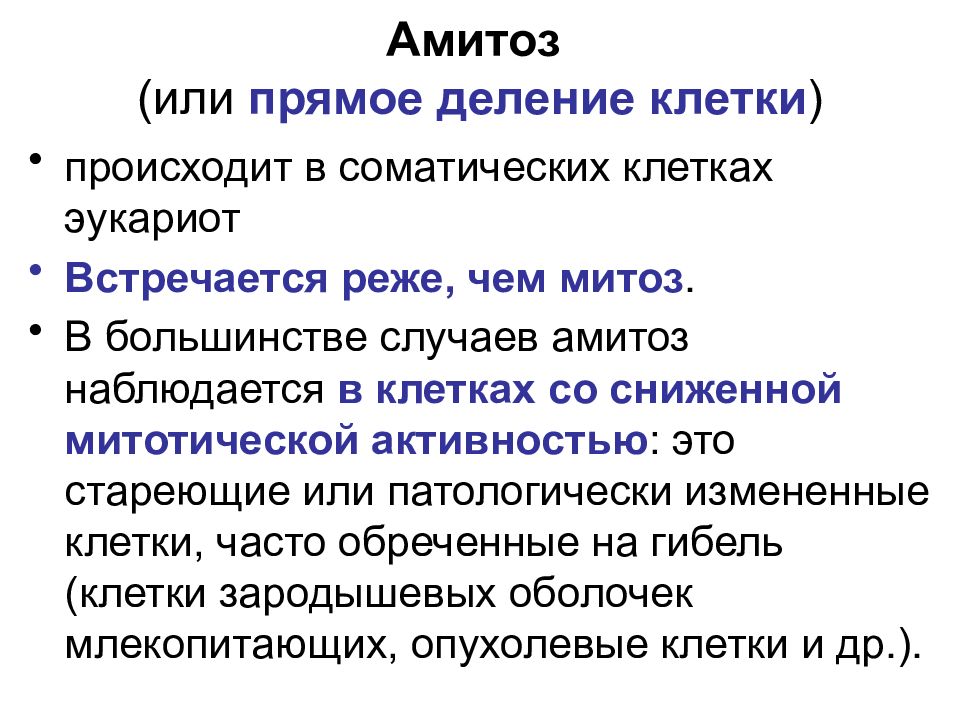 Деление амитозом. Амитоз прямое деление клетки. Биологическое значение амитоза. Амитоз и его биологическое значение. Общая характеристика амитоза.