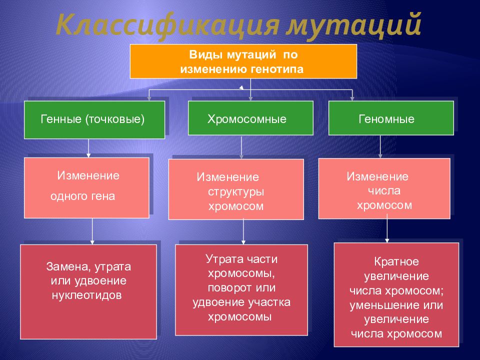 Классификация мутаций схема