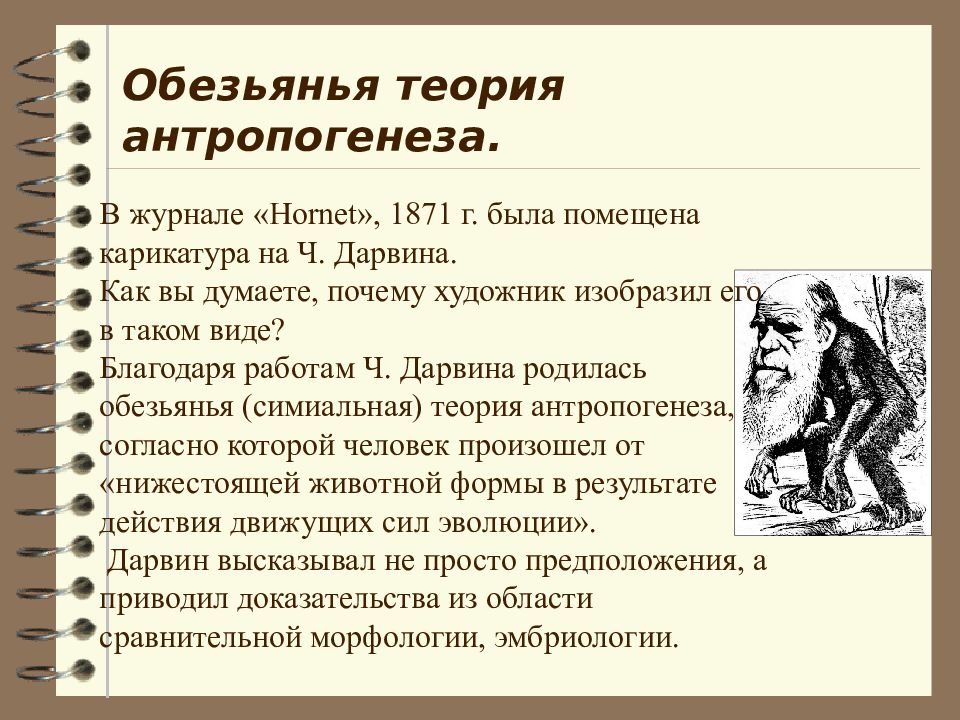 Современную эволюционную теорию согласно учению дарвина можно представить в виде следующей схемы