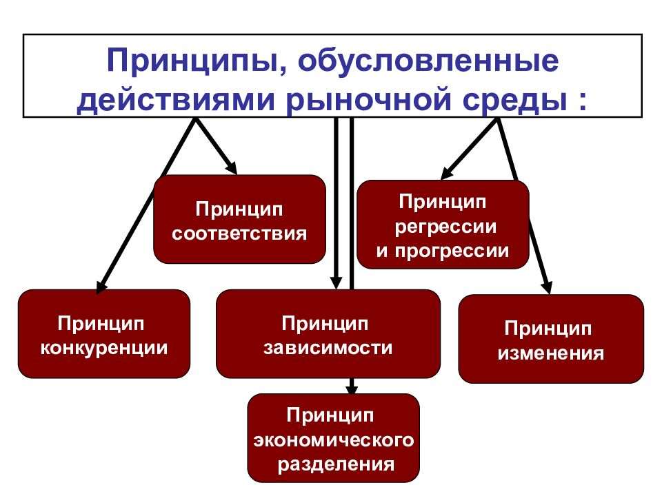 Принципы, обусловленные действиями рыночной среды :