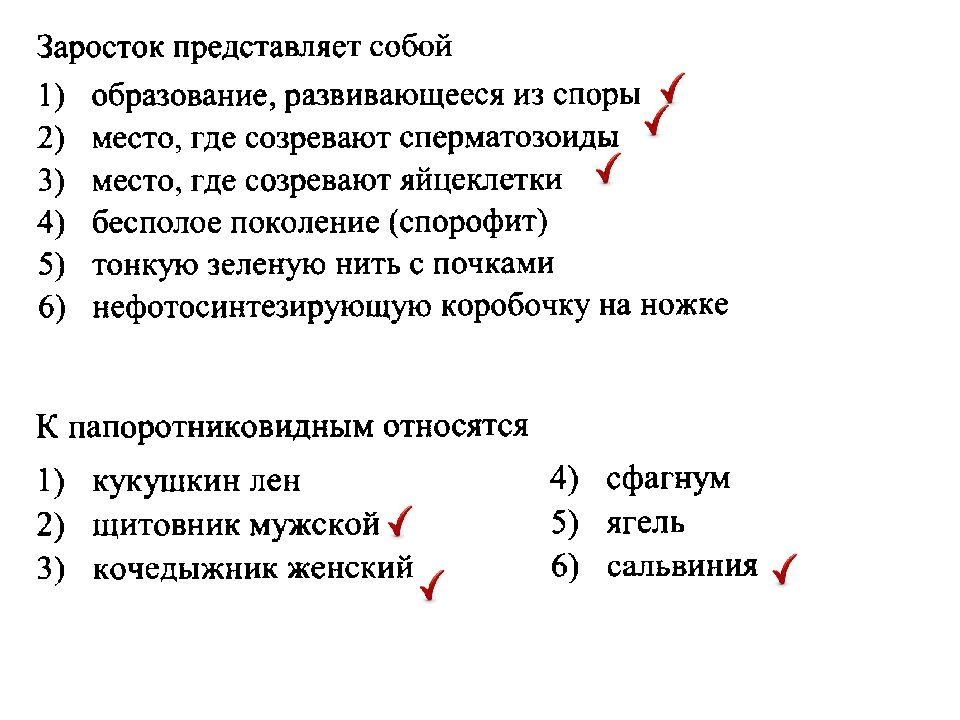 Тест растения 6 класс