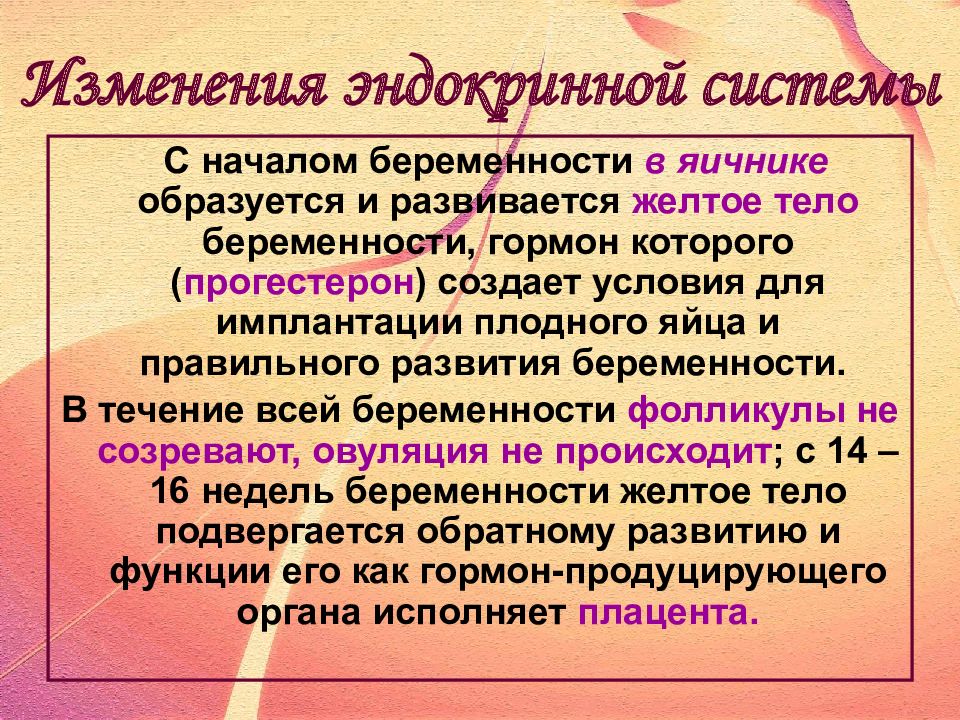 Физиологические изменения в организме женщины при беременности презентация