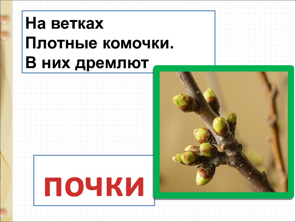 Стихи загадки токмаковой 1 класс. Загадки Токмаковой. Токмакова ручей. Стихотворение Яхнина апрель.