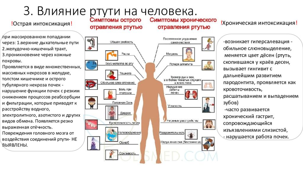 Отравление животных ртутью презентация