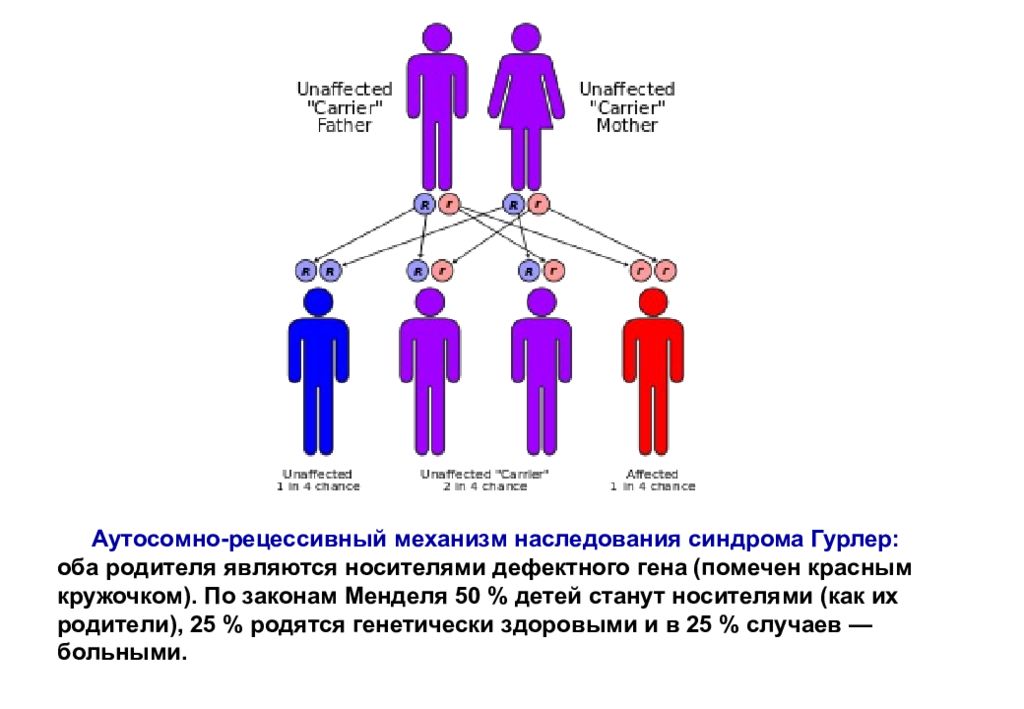 Могут ли оба родителя