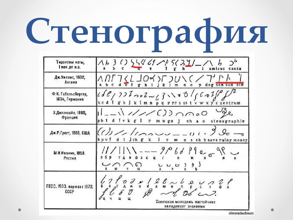 Протокол стенограмма образец