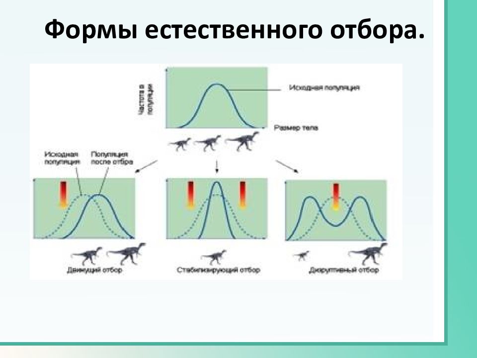 Естественный отбор борьба