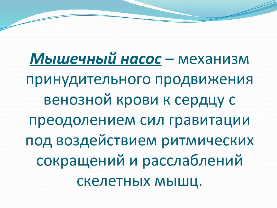 Венозный насос. Мышечный насос. Механизм мышечного насоса. Венознo мышечные насосы. Понятие мышечный насос это.