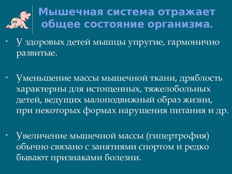 Анатомо физиологические особенности костно мышечной системы у детей презентация