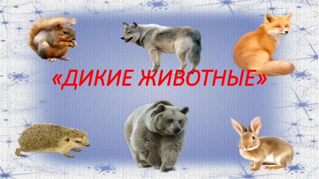 Интерактивная презентация дикие животные