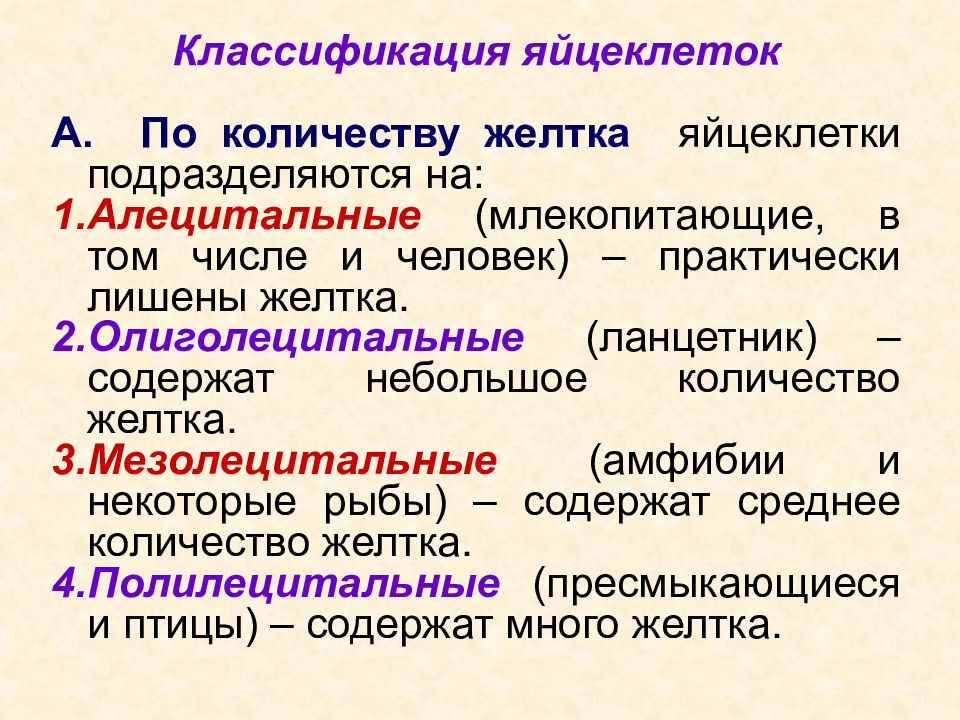 Классификация яйцеклеток по количеству желтка. Классификация яйцеклеток по распределению желтка. яйцеклетки по распределению желтка. алецитальные олиголецитальные.