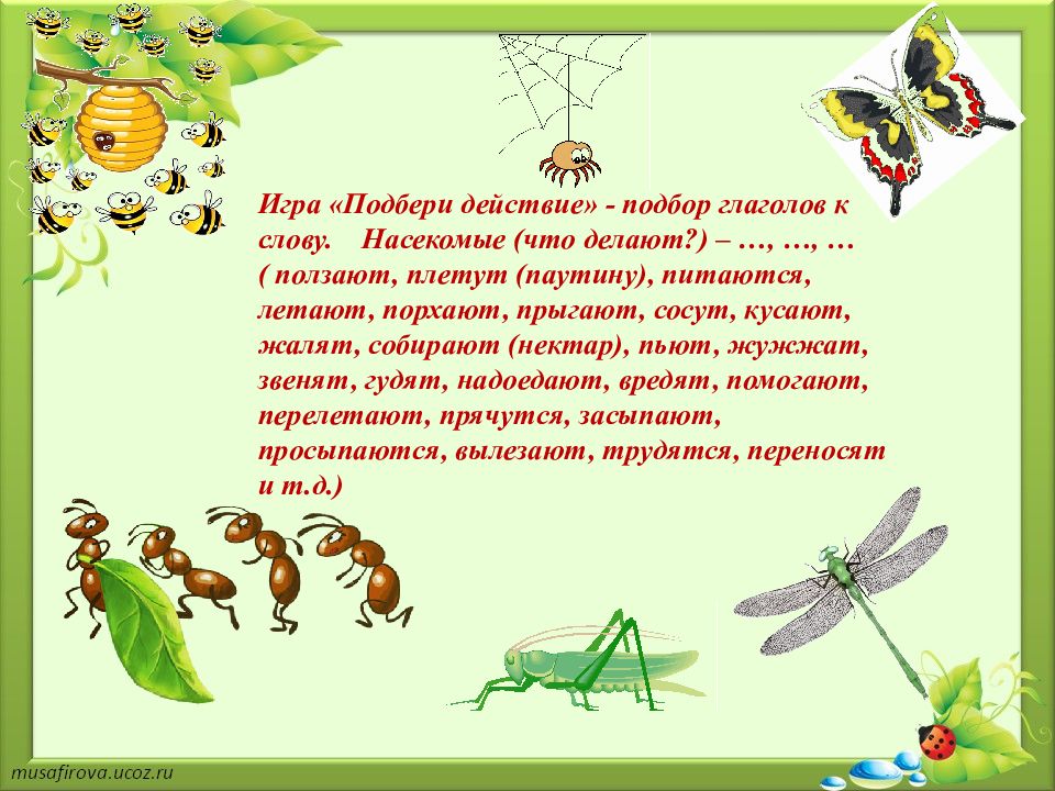 Презентация по развитию речи в средней группе на тему насекомые