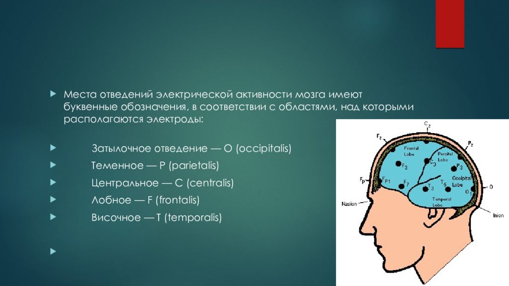 Повышение активности мозга. Отведения ЭЭГ. Расположение электродов ЭЭГ. Датчики активности мозга. ЭЭГ головного мозга ребенку.