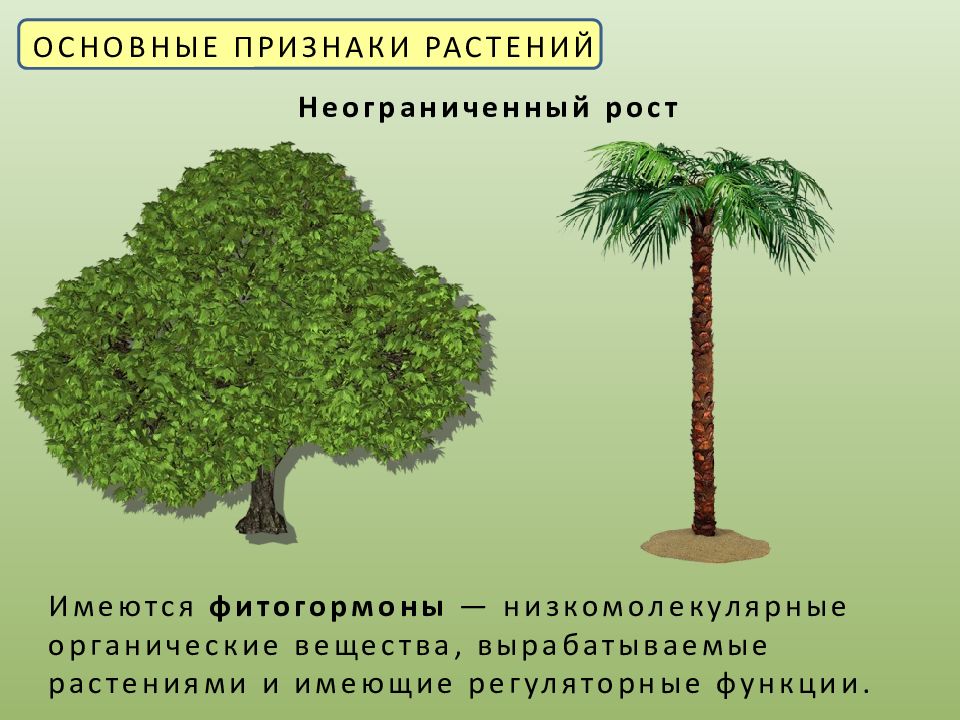 Признаки описывающие рост растения