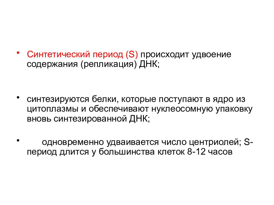 Синтетический период. Что происходит в синтетический период. Синтетический период процессы. Синтетический период клетки.