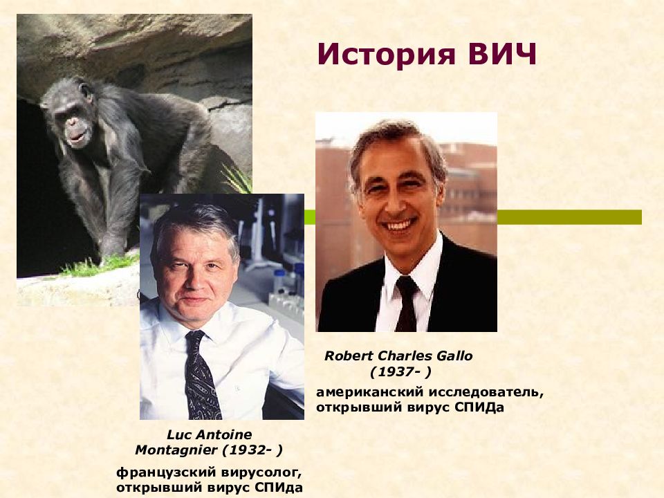 ученые открывшие вич. как выглядит спид в крови. ученый вич. ученый вич. ученые исследования иммунитет.