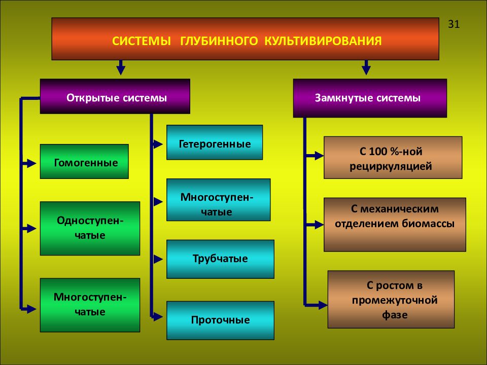 Системы культивирования. Системы непрерывного культивирования. Процессы культивирования микроорганизмов. Непрерывное культивирование микроорганизмов. Классификация способов культивирования микроорганизмов.