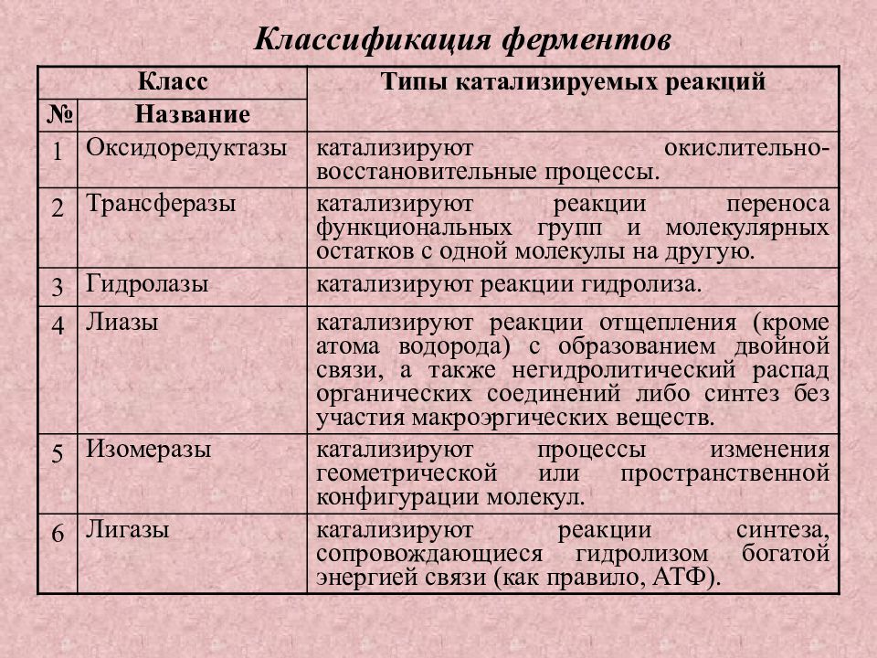 Презентация про ферменты