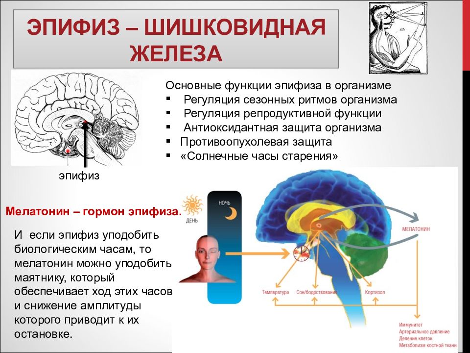 Статичное изображение в котором закодирована информация для человеческого мозга