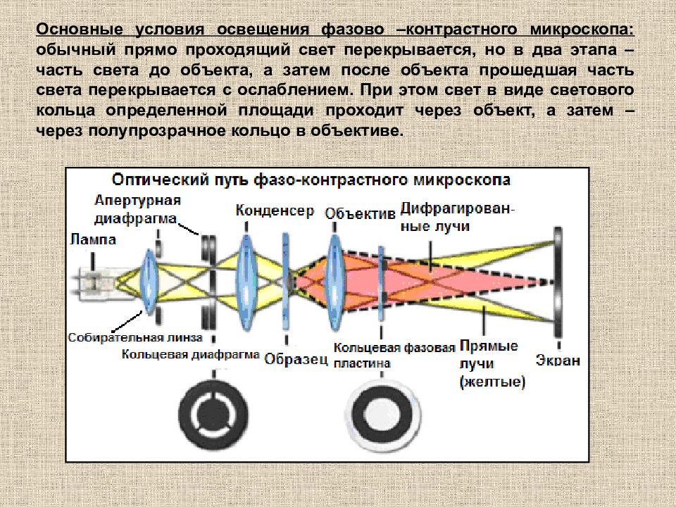 Микроскоп линзы схема