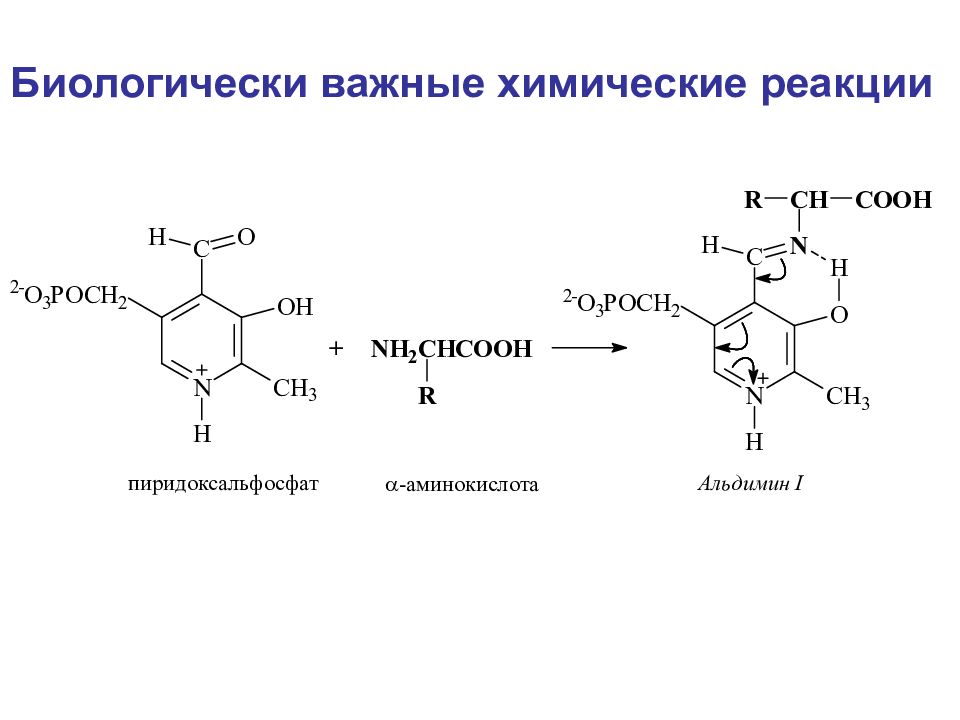 Биологически важных. Биологически важные химические реакции аминокислот. Пиридоксальфосфат реакции. Биологические важные реакции аминокислот. Биологически важные химические реакции Альфа аминокислот.