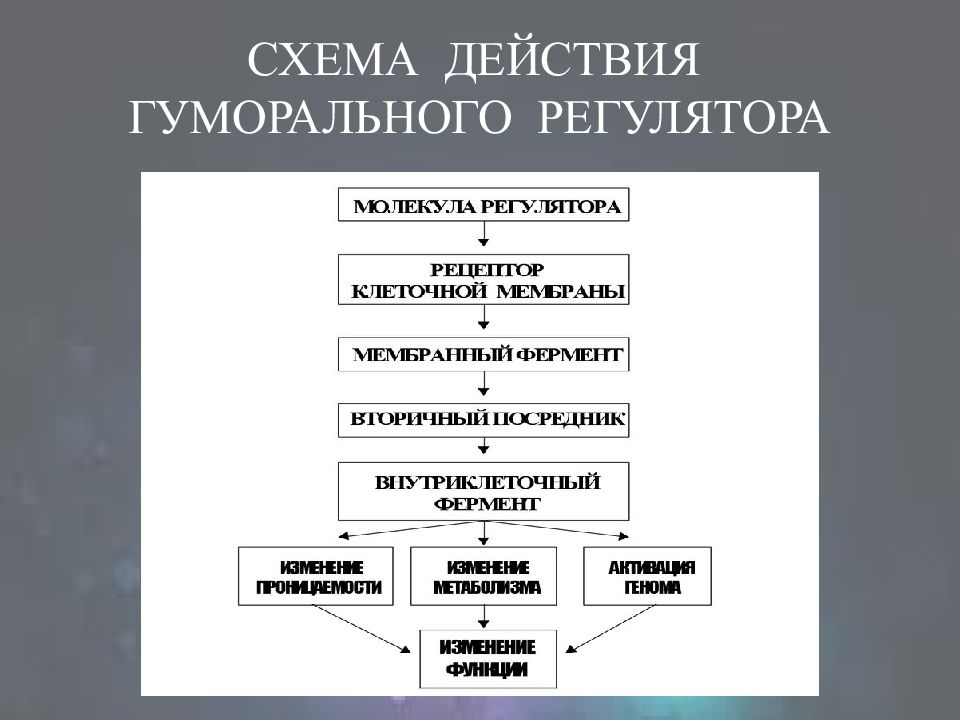 Формы регуляции