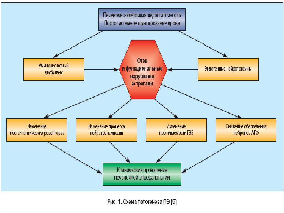 Печеночная недостаточность презентация. Печеночная недостаточность. Этиология печеночной недостаточности. Этиология и патогенез печеночной недостаточности.