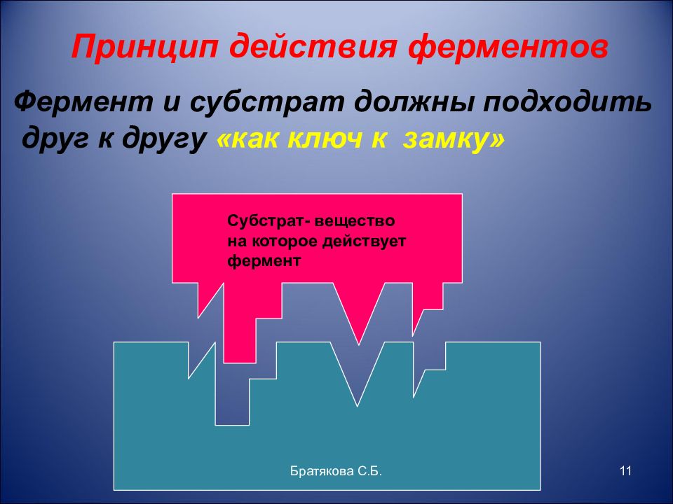 Действие ферментов. Принцип действия ферментов. Теории действия ферментов. Ферменты принцип действия ферментов. Энзимы принцип действия.