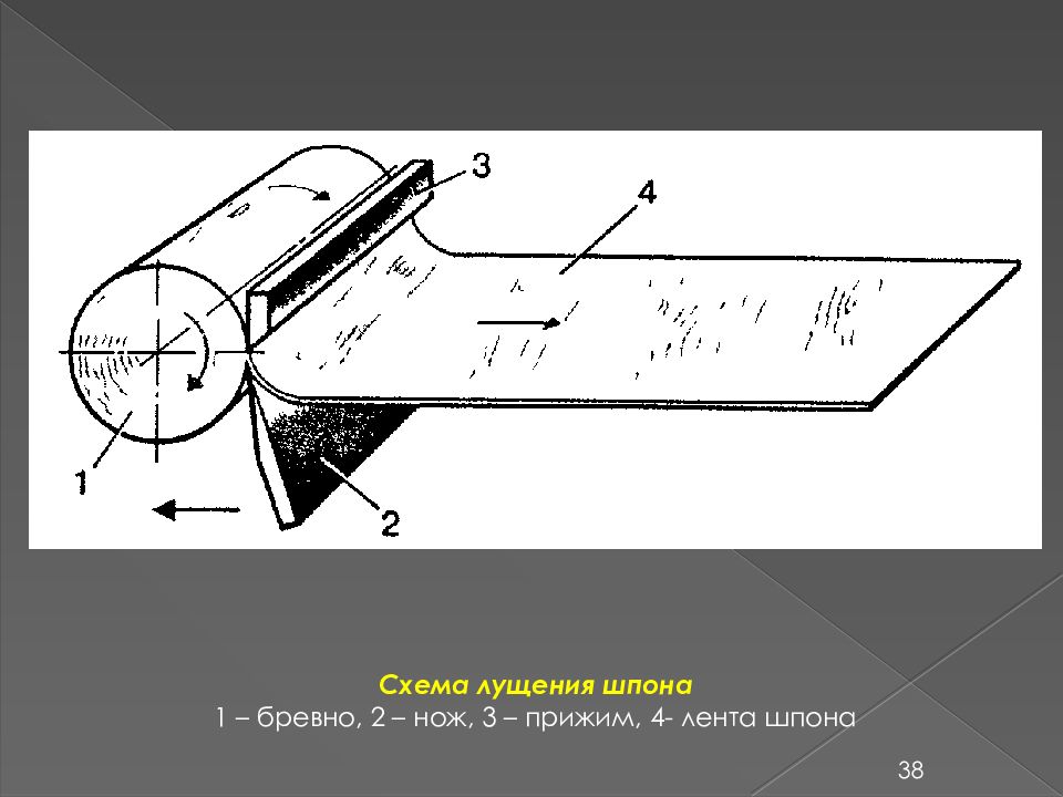 Лущение шпона