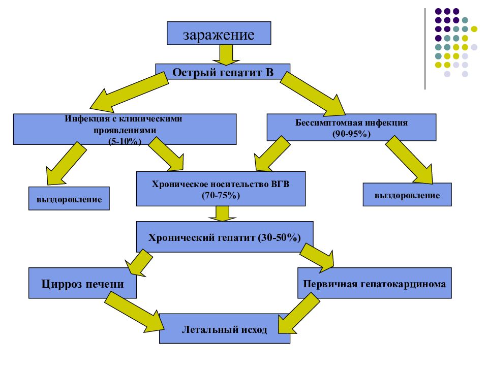 Патогенез гепатита б схема