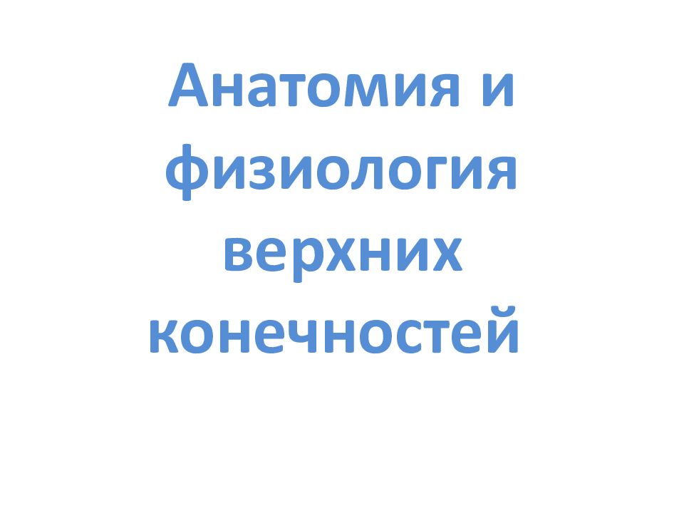 Анатомия и физиология верхних конечностей
