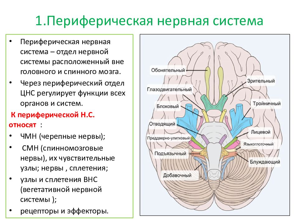 Салтанат булатовна калимолдаева схема лечения