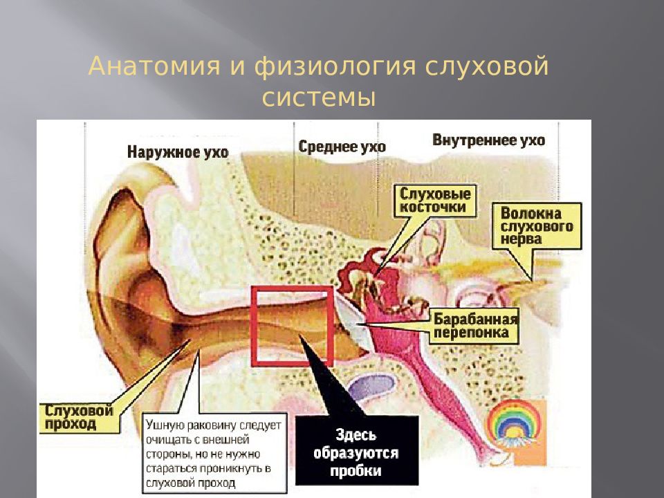 Отит карта смп