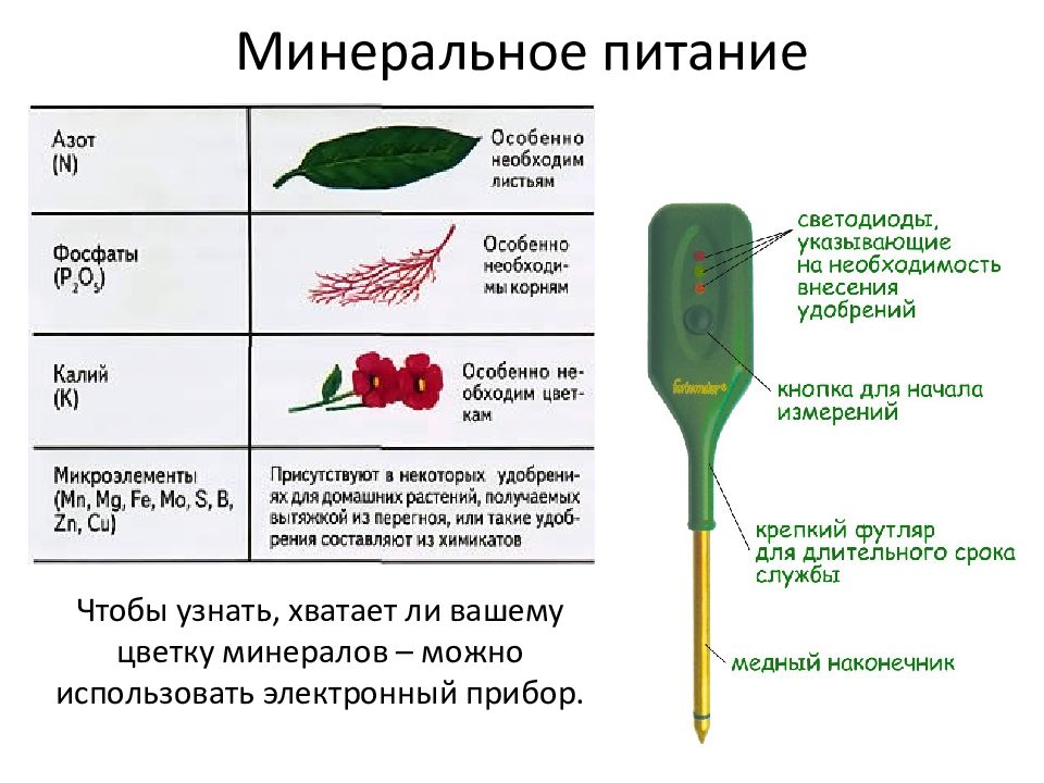 Конспект по воде биология 6 класс. Минеральное питание растений 6 класс биология таблица. Минеральное питание растений таблица. Минеральное питание растений удобрения 6 класс биология. Минеральное питание растений схема.