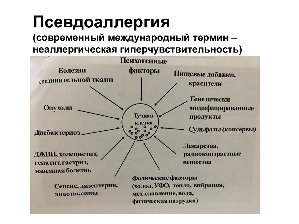 Пищевая аллергия иммунология презентация